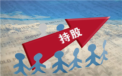 股权投资方式的特点解析